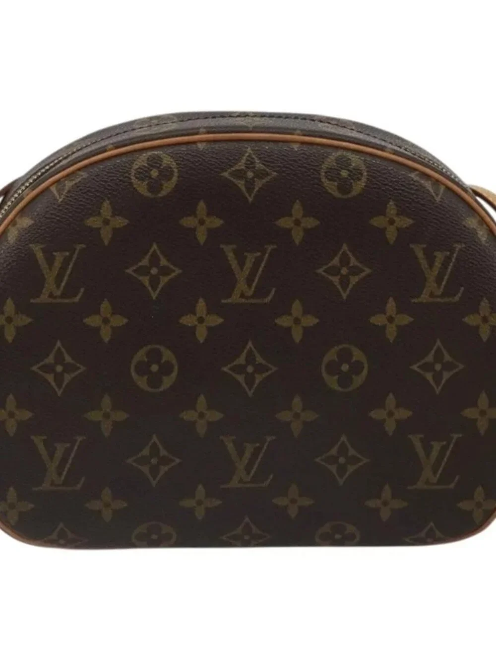LOUIS VUITTON Monogram Blois Shoulder Bag M51221 LV Auth 188394SAV